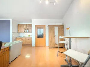 Prodej bytu 1+kk, Praha - Záběhlice, Ve slatinách, 30 m2