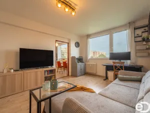 Prodej bytu 1+1, Mladá Boleslav, 17. listopadu, 40 m2