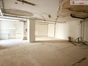 Pronájem obchodního prostoru, Praha - Nové Město, Vodičkova, 800 m2