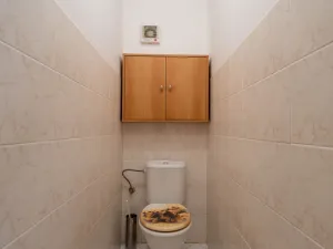 Prodej bytu 3+kk, Mladá Boleslav, 17. listopadu, 92 m2