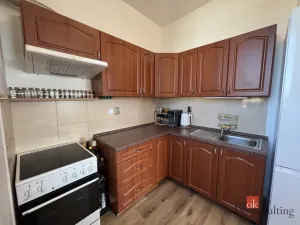 Prodej bytu 1+kk, Litultovice, 45 m2