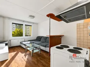 Prodej bytu 1+1, Plzeň - Severní Předměstí, Brněnská, 48 m2