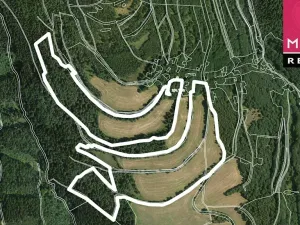 Prodej louky, Stráž nad Ohří, 176908 m2