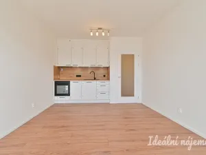 Pronájem bytu 1+kk, Brno - Maloměřice, Pod Kavkami, 27 m2