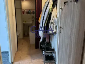 Prodej bytu 2+1, Hodonín, Luční, 43 m2