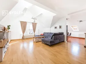 Pronájem bytu 4+1, Teplice, Potěminova, 160 m2