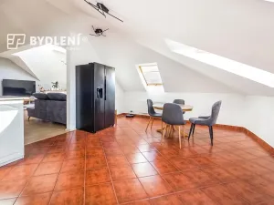 Pronájem bytu 4+1, Teplice, Potěminova, 160 m2