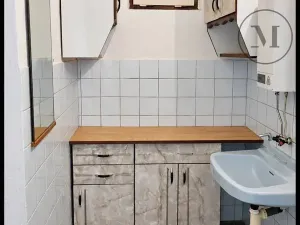 Prodej obchodního prostoru, Bošice, 99 m2