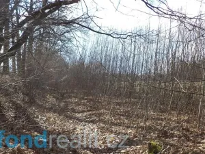 Prodej pozemku, Lužnice, 2131 m2