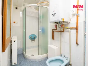 Prodej rodinného domu, Bechyně, Dlouhá, 110 m2