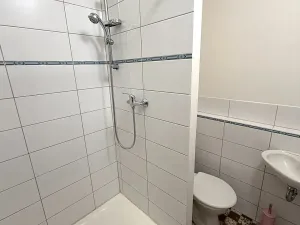 Pronájem bytu 1+kk, Plzeň, Dlouhá, 20 m2