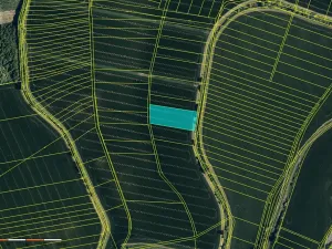 Prodej pole, Zdounky, 6910 m2