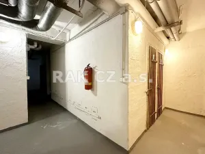 Pronájem bytu 3+1, Praha - Vinohrady, Pod Rapidem, 57 m2