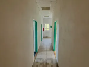 Prodej výrobních prostor, Mladá Boleslav, Ptácká, 1011 m2