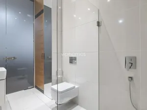 Pronájem bytu 3+kk, Praha - Vinohrady, Laubova, 114 m2