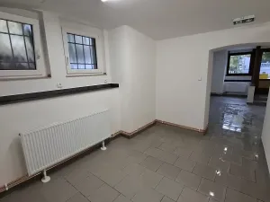 Pronájem obchodního prostoru, Plzeň, Stehlíkova, 67 m2