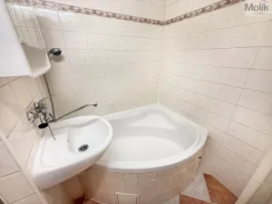 Prodej bytu 2+1, Duchcov, Sadová, 50 m2