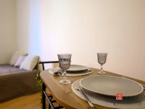 Prodej bytu 1+kk, Plzeň - Jižní Předměstí, Krátká, 27 m2