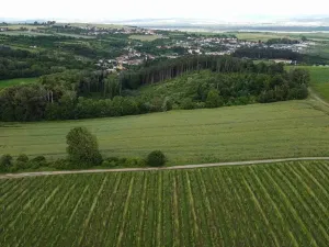 Dražba pole, Ořechov, 2077 m2
