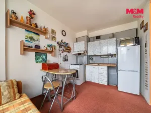 Prodej bytu 1+1, Beroun - Beroun-Město, Branislavova, 36 m2