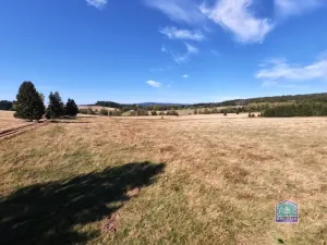 Prodej louky, Lesná - Stará Knížecí Huť, 410390 m2