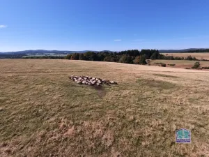 Prodej louky, Lesná - Stará Knížecí Huť, 410390 m2