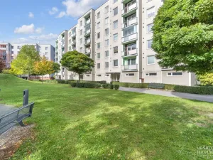 Pronájem bytu 3+1, Dobruška, Domašínská, 75 m2