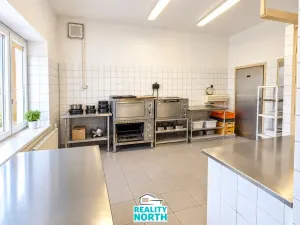 Pronájem výrobních prostor, Světec, Kostomlatská, 150 m2