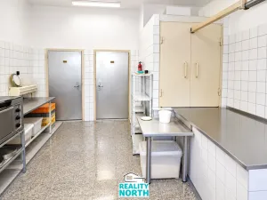 Pronájem výrobních prostor, Světec, Kostomlatská, 150 m2