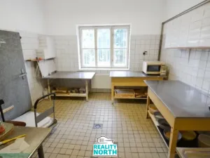 Pronájem výrobních prostor, Světec, Kostomlatská, 150 m2