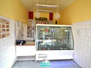 Pronájem výrobních prostor, Světec, Kostomlatská, 150 m2