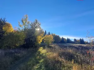 Prodej pole, Stará Ves, 8308 m2
