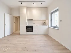 Prodej bytu 2+kk, Opava, Mostní, 38 m2