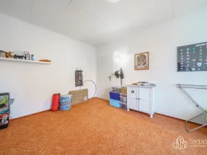 Pronájem bytu 3+1, Sokolov, Švabinského, 63 m2
