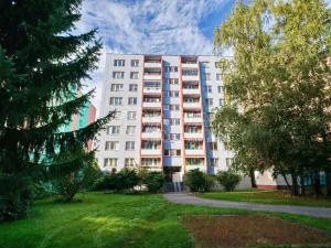 Prodej bytu 1+kk, Ostrava - Moravská Ostrava, U Parku, 29 m2