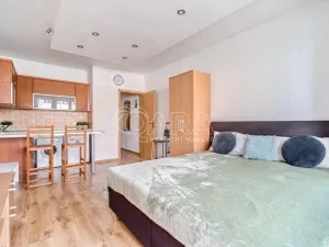 Prodej bytu 1+kk, Ostrava - Moravská Ostrava, U Parku, 29 m2