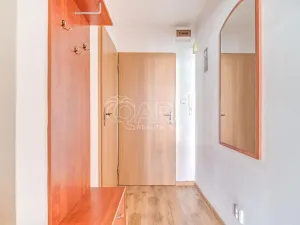 Prodej bytu 1+kk, Ostrava - Moravská Ostrava, U Parku, 29 m2