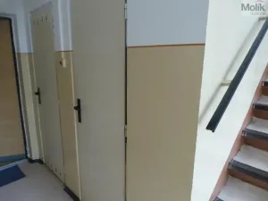Prodej bytu 1+kk, Most, Růžová, 27 m2