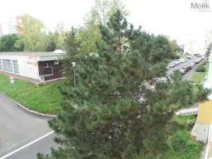 Prodej bytu 1+kk, Most, Růžová, 27 m2