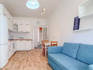 Pronájem bytu 2+kk, Praha - Žižkov, Jeseniova, 50 m2