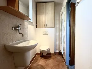 Pronájem rodinného domu, Opava, U Jezera, 216 m2