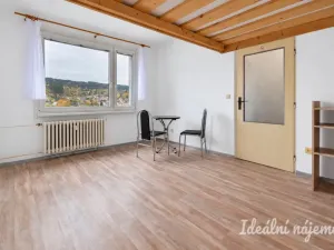 Pronájem bytu 1+1, Česká Třebová - Parník, Dr. E. Beneše, 35 m2