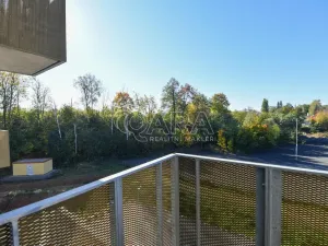 Pronájem bytu 1+kk, Benešov, 102. pluku, 32 m2