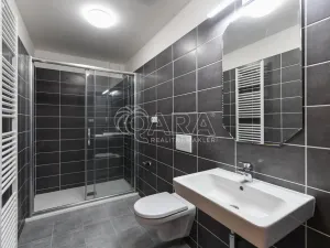 Pronájem bytu 1+kk, Benešov, 102. pluku, 32 m2