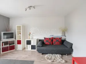 Pronájem bytu 1+kk, Týnec nad Sázavou - Chrást nad Sázavou, 30 m2