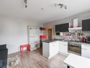 Pronájem bytu 1+kk, Týnec nad Sázavou - Chrást nad Sázavou, 30 m2