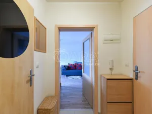 Pronájem bytu 1+kk, Týnec nad Sázavou - Chrást nad Sázavou, 30 m2