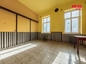 Prodej rodinného domu, Nová Ves - Vepřek, 600 m2