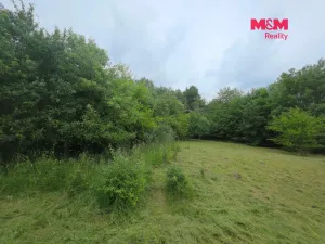 Prodej pozemku pro bydlení, Bor - Boječnice, 1114 m2