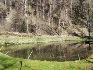 Prodej rodinného domu, Bohdalovice - Slubice, 649 m2